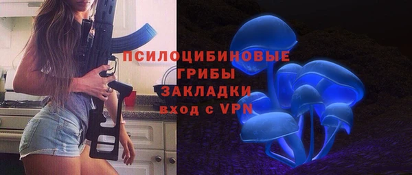 МДПВ Медногорск