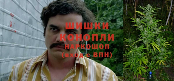 МДПВ Медногорск
