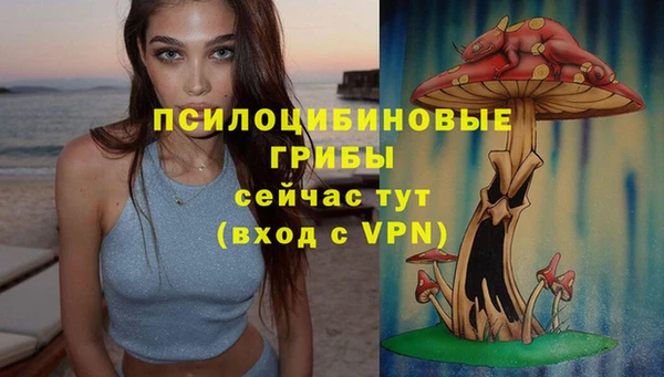 МДПВ Медногорск