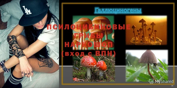 МДПВ Медногорск