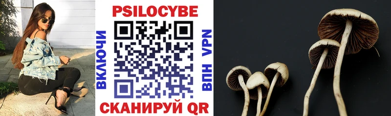 купить наркотик  Яхрома  Галлюциногенные грибы Psilocybine cubensis 